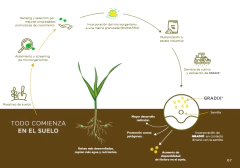 Imagen de Trichodermas Gradix. Enraizante y potenciador del crecimiento