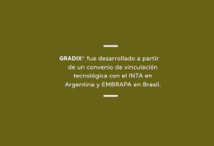Trichodermas Gradix. Enraizante y potenciador del crecimiento