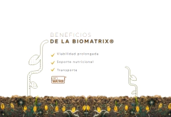 Trichodermas Gradix. Enraizante y potenciador del crecimiento - comprar online