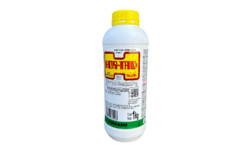 Hortal Polvo Hormiguicida x 250 g