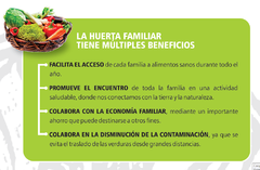 Kit de Huerta para todo el año: Semillas Agroecológicas (50 sobres) + 2 bandejas + sustrato + humus + jabón potásico + enraizante en internet