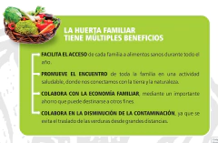 Kit de Huerta para todo el año: Semillas Agroecológicas (50 sobres) + 2 bandejas + sustrato + humus + jabón potásico + enraizante en internet