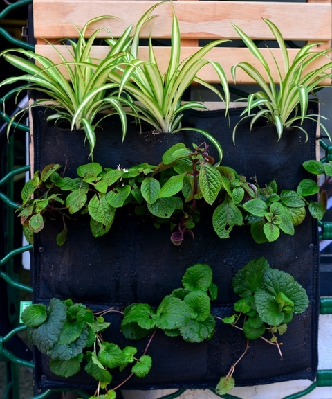 Jardinera vertical de Geotextil 100 cm x 50 cm