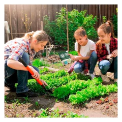 Kit de Huerta para todo el año: Semillas Agroecológicas (50 sobres) + 2 bandejas + sustrato + humus + jabón potásico + enraizante
