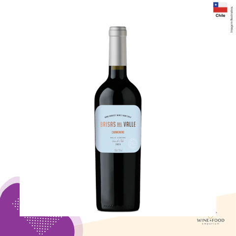 Brisas Del Valle Vinho Tinto Carmenére 2023 750ml - comprar online