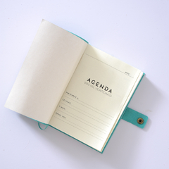 AGENDA DIARIA GAMUZA - 24 PACIFICO 14X21 en internet