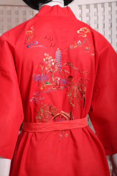 Robe vintage bordado na internet