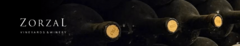 Banner de la categoría Zorzal