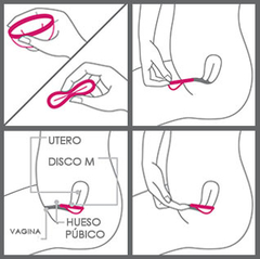 DISCO MENSTRUAL L (50ML) en internet