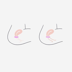 Imagen de DISCO MENSTRUAL S (30ML)