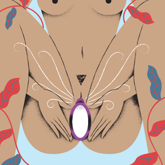 Imagen de SONA 2 - LELO