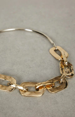 Colar Animale com corrente de elos em tom dourado, apresentando um fecho com gancho.