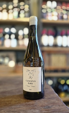 Canopus Blanco 2022 - comprar online