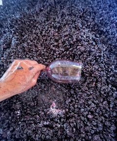 Chipica Vermú - VerdeVino, sano y natural