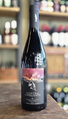 Contracorriente Pinot Noir 2020 limited selection - comprar online