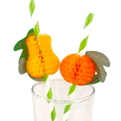 Set Tropical - tienda online