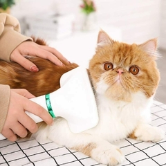 Cepillo secador para mascotas en internet