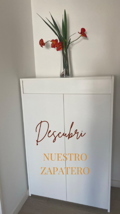 Banner de la categoría Zapatero