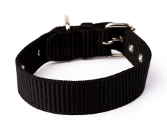 Collar Mástil Poli en internet