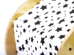 CHILA CATS en internet