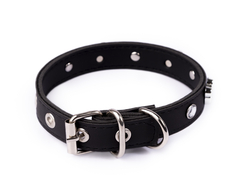 Collar Mickey en internet