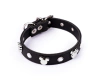 Collar Mickey