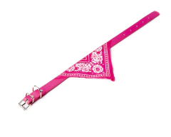 Imagen de Collar con bandana