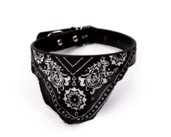 Collar con bandana - comprar online