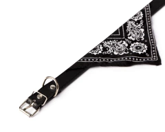 Collar con bandana