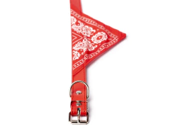 Imagen de Collar con bandana