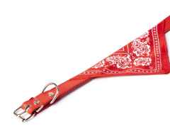 Collar con bandana - tienda online