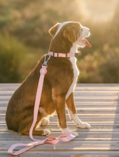 Collar Solid - Baby Pink - - comprar online