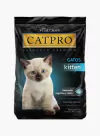 Cat Pro Kitten