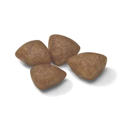 Royal Canin Mini Starter - comprar online