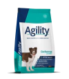 Agility - Cachorros