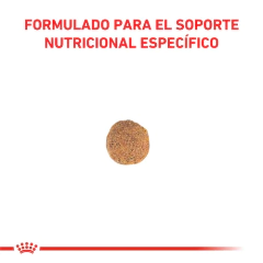 Royal Canin Hipoalergénico Small x2kg - comprar online