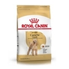 Royal Canin - Caniche Adult@