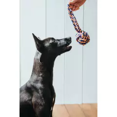 Ball whit Handloop Jena - comprar online