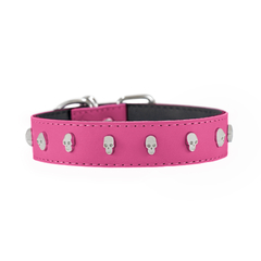 Collar Calavera en internet
