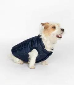 Abrigo Raphael - Chila Pet's