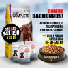 Complete Cachorr@ Raza Mediana/Grande - comprar online