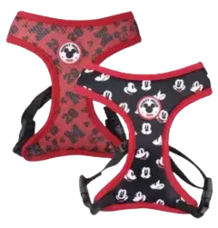 Arnes Mickey