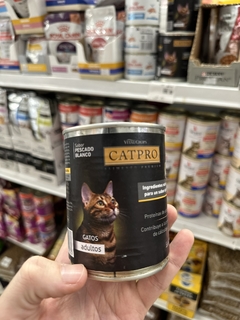 Lata Cat Pro