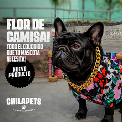 Camisa Kenia en internet