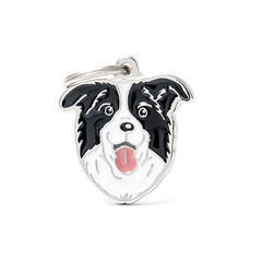 Chapita Border Collie