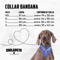 Collar con bandana