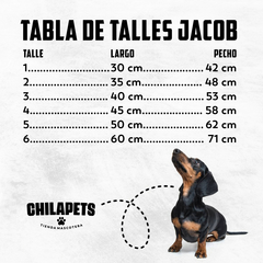 Abrigo Jacob - tienda online