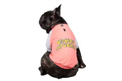 Buzo VAF - Chila Pet's