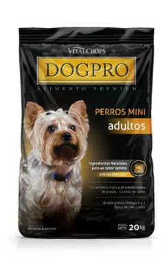 Dog Pro Adult@ Mini