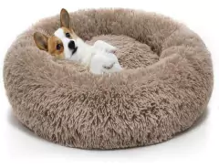 Moises Nórdico - Chila Pet's